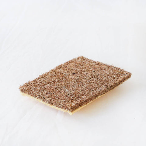 Cellulose Dish Sponge with Coconut Scrubber - Simple Ecology
