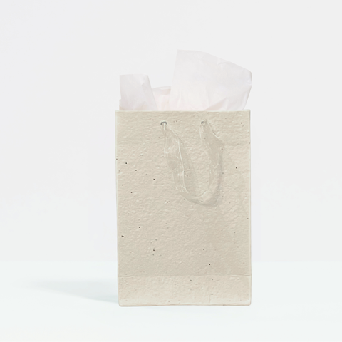 Plant & Grow Wildflower Gift Bag | Handmade Seed Paper + Ribbon Handles