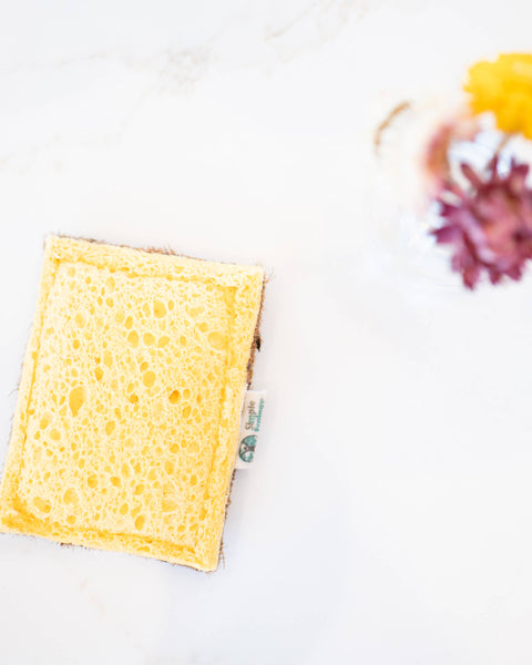 Cellulose Dish Sponge with Coconut Scrubber - Simple Ecology