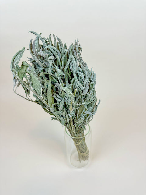 Sage – Naturally Dried Filler
