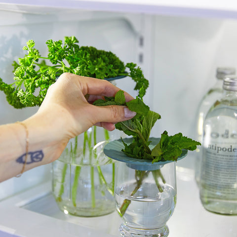 Non-toxic Plastic Fee Leafy Green Produce Keepers | Set of 2