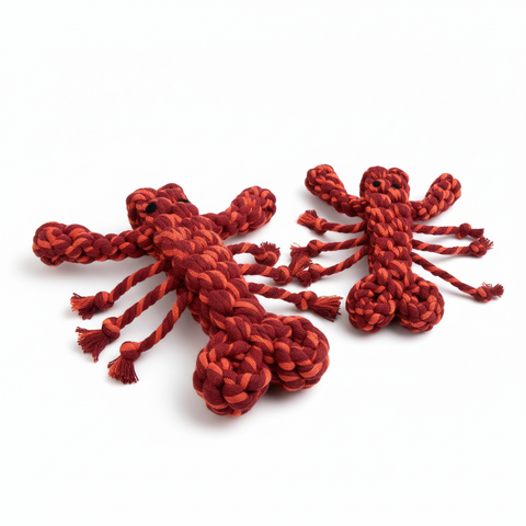 New: Coral Pop Lobster Pet Toy | Thicker and Stronger