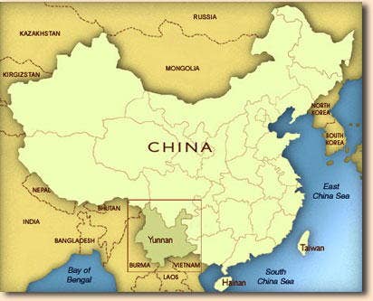 China Black (Yunnan) Black Tea, Organic - Bulk, 1lb