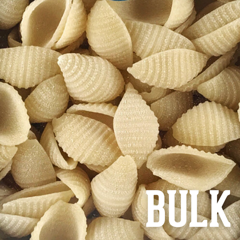 Small Shells, BULK 10 lb case, Organic Durum Semolina 