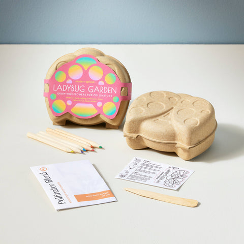 Curious Critters Wildflower Activity Kit