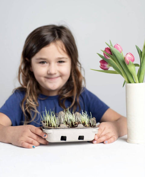 Egg Coloring & Seed Growing Kit - DIY Easter/Spring Craft