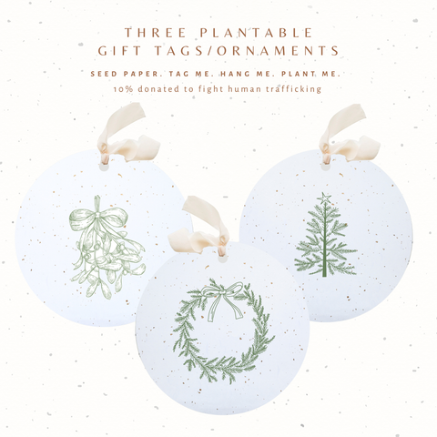 Plantable Seed Gift Tags / Ornaments Set of 3: Greenery