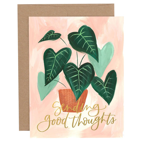 Greenhouse Specialty Greeting Card Box Set | 20 Cards