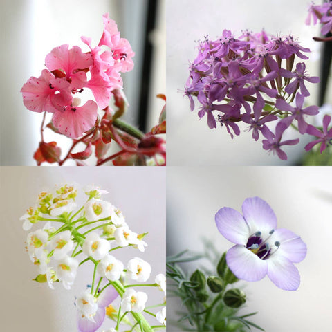 flower seed greeting cards Plantable Wildflower Seed Paper Greeting Card