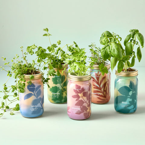 Herb Garden Jar
