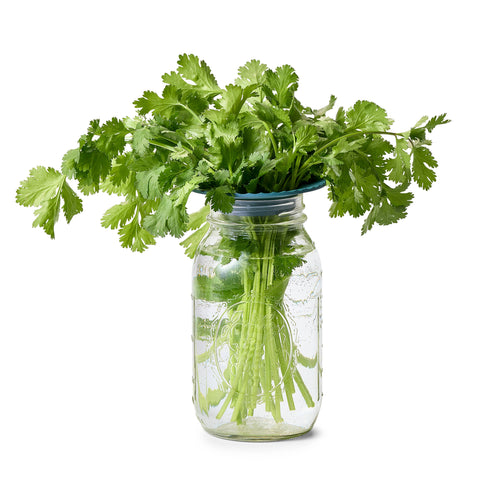 Non-toxic Plastic Fee Leafy Green Produce Keepers | Set of 2