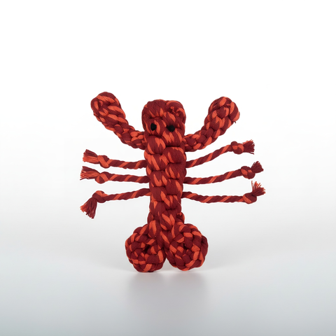 New: Coral Pop Lobster Pet Toy | Thicker and Stronger