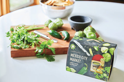 Non- GMO Salsa Verde Seed/Grow Kit | Mexico City Market