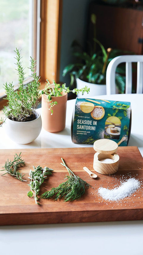 Non-GMO Greek Herb Seasoning Salt Seed Kit  |  Seaside in Santorini