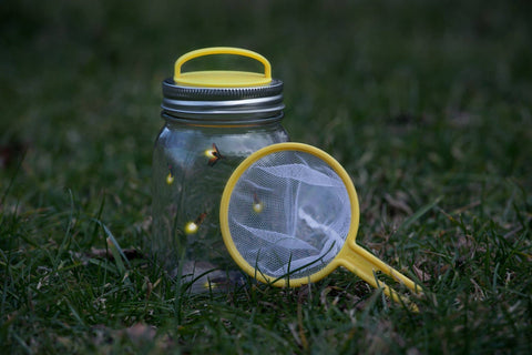 Jarware Firefly Kit for Regular Mouth Mason Jar