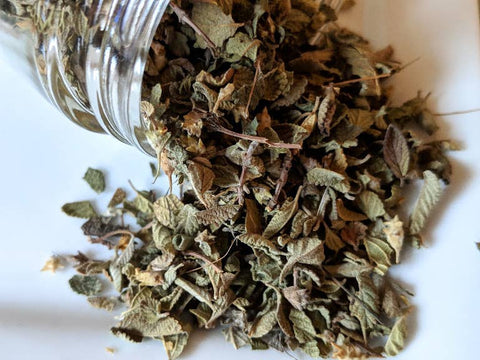 Mexican Oregano | 1 oz