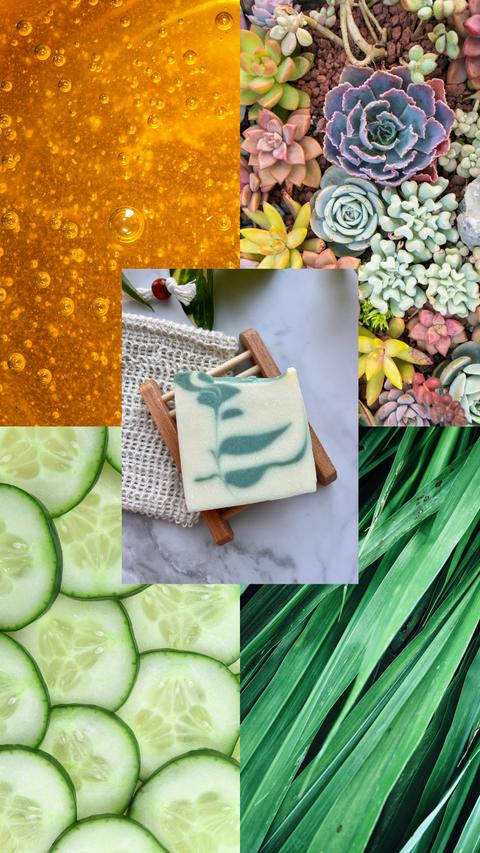Vegan Bar Soap - Succulent