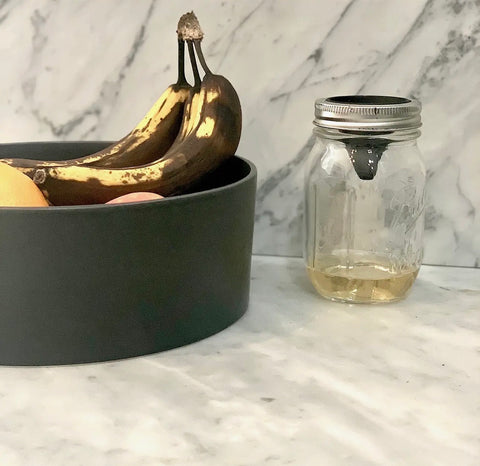Fruit Fly Trap (for Mason jar) | Pack of 3