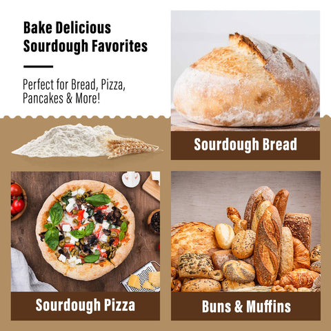 Organic Non-GMO, Freeze Dried, Sourdough Starter | 12 grams