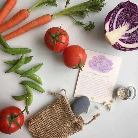 Kids Garden Maker | Stone Soup | Spring Easter Basket Gift