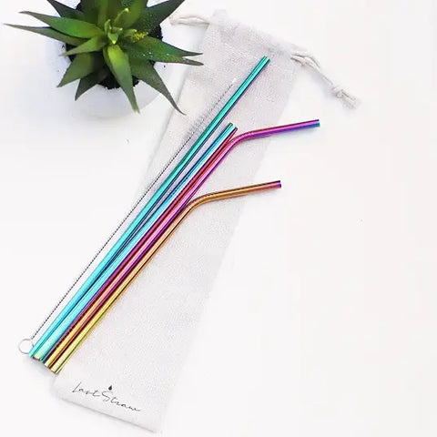 Rainbow Stainless Steel Metal Straw Set