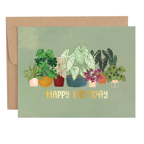 Greenhouse Specialty Greeting Card Box Set | 20 Cards