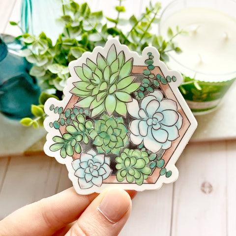 Watercolor Succulent Planter Sticker 3x3in.