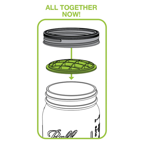 Flower Grid/Frog for Wide Mouth Mason Jars