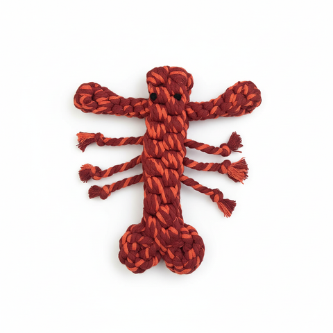 New: Coral Pop Lobster Pet Toy | Thicker and Stronger