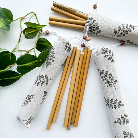 Reusable Natural Bamboo Straws | Set of 10