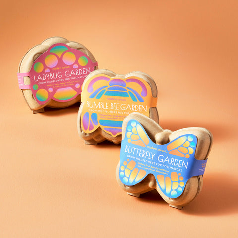 Curious Critters Wildflower Activity Kit