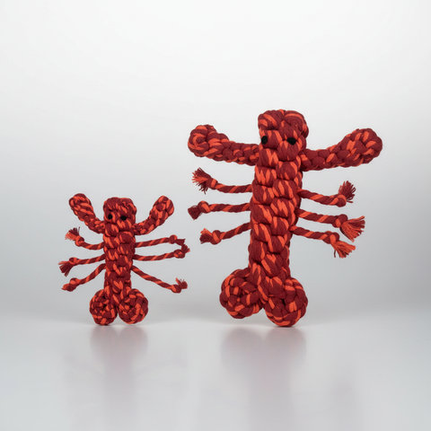 New: Coral Pop Lobster Pet Toy | Thicker and Stronger