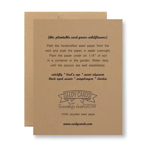 seed paper planting instructions Plantable Greeting Card - Welcome Little One, Greeting Cards