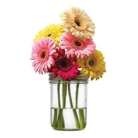 Flower Grid/Frog for Wide Mouth Mason Jars