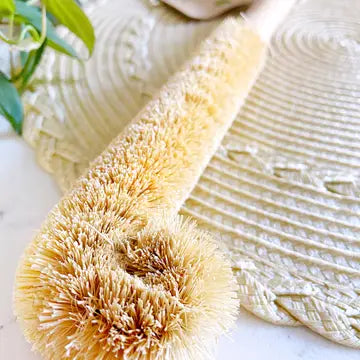 Coconut Bottle Cleaning Brush