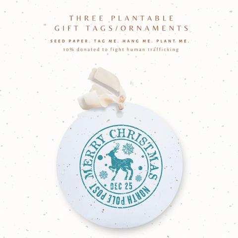 Plantable Seed Gift Tags / Ornaments, Set 3: North Pole Post