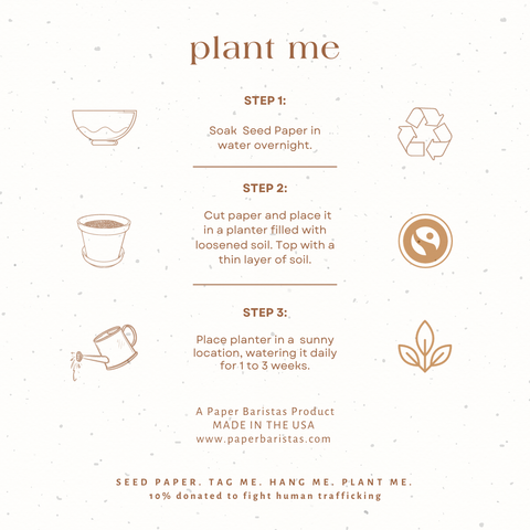 Plantable Seed Gift Tag - Happy Birthday | 1 tag
