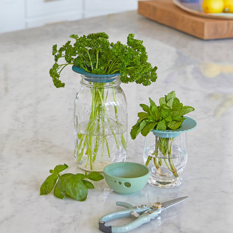 Non-toxic Plastic Fee Leafy Green Produce Keepers | Set of 2