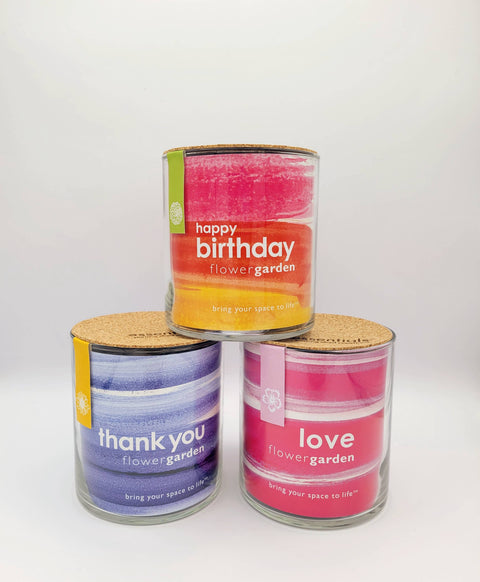 Windowsill Flower Garden | Happy Birthday