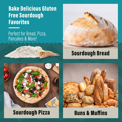 Organic, Non GMO GLUTEN FREE Sourdough Starter|  12 grams