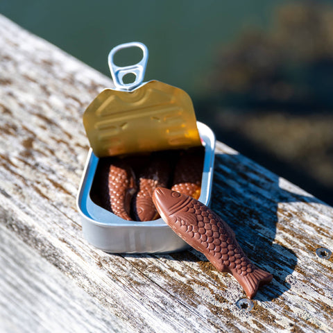 Milk Chocolate Sardines in Can