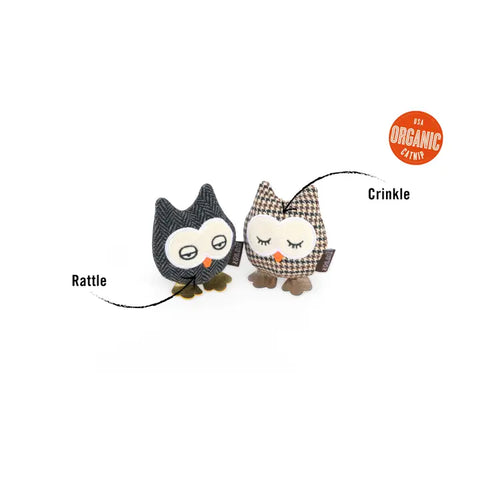 Feline Frenzy | Hooti-Ful Owls