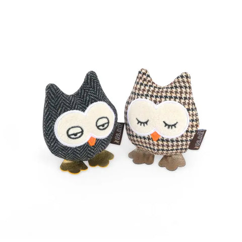 Feline Frenzy | Hooti-Ful Owls