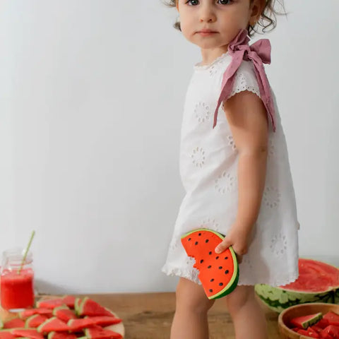 Wally the Watermelon Teether and Bath Toy